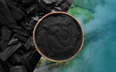 Biochar Carbon Removal (BCR): The Ultimate Solution for Mitigating Climate Change